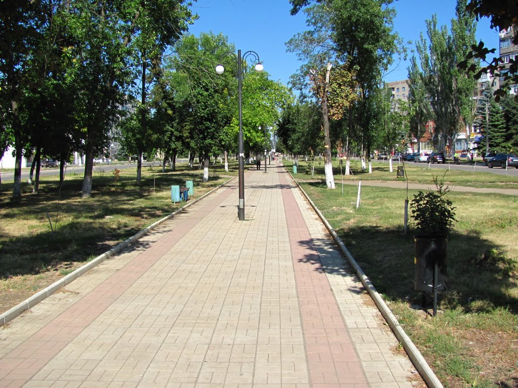 Аллея.