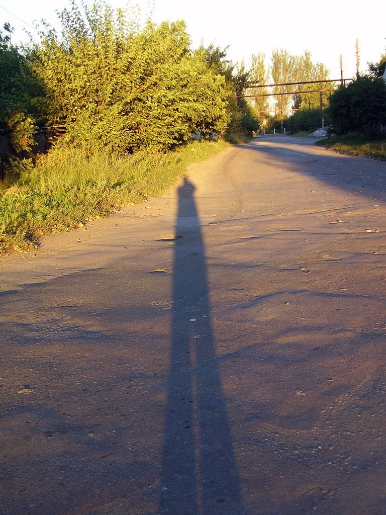 shadow