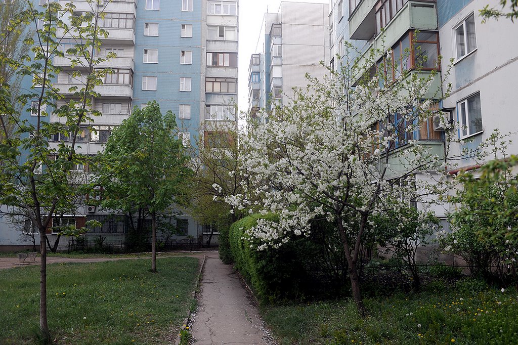 Ул Высоцкого 4