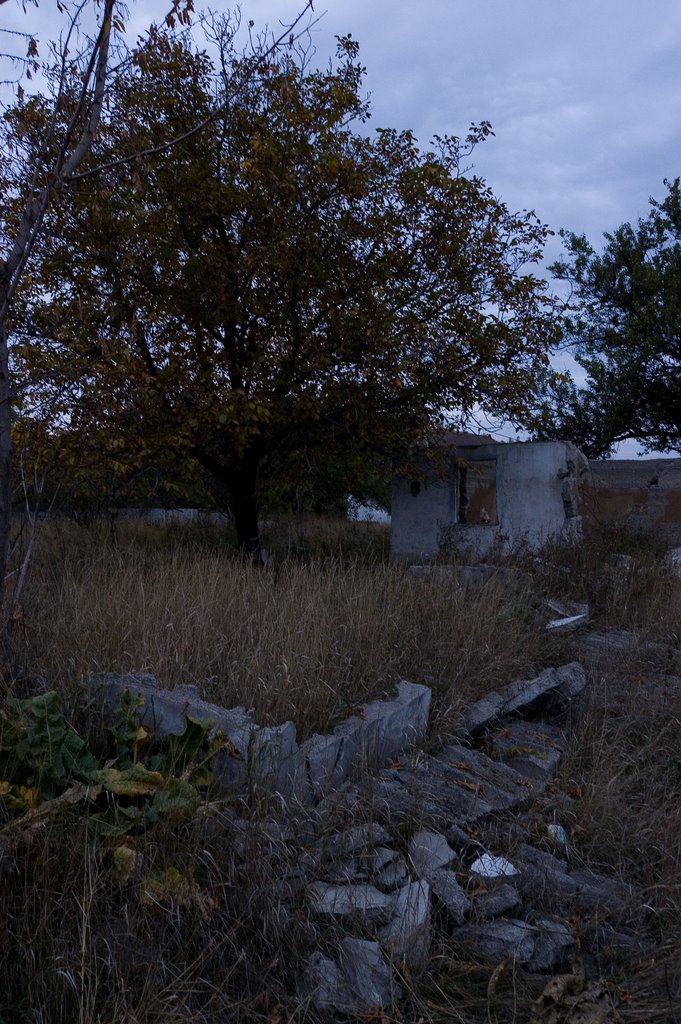 Ruins