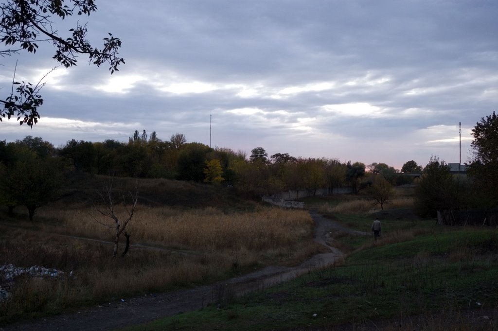 landscape