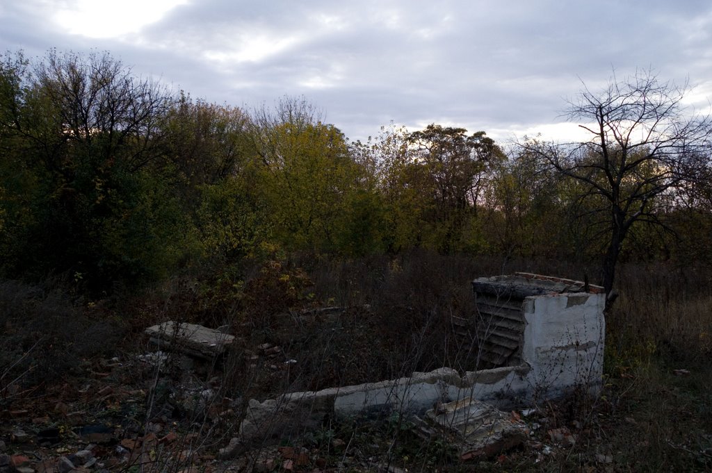 Ruins