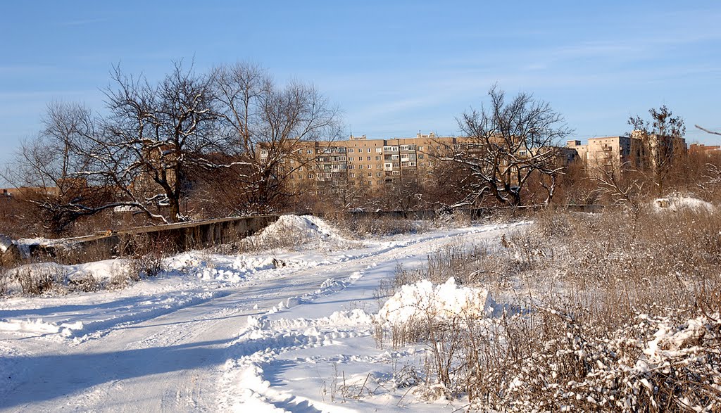 2011