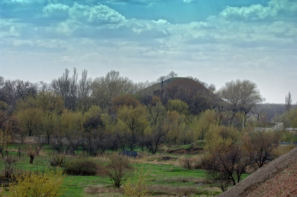 2011