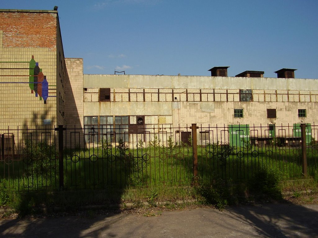 old plant