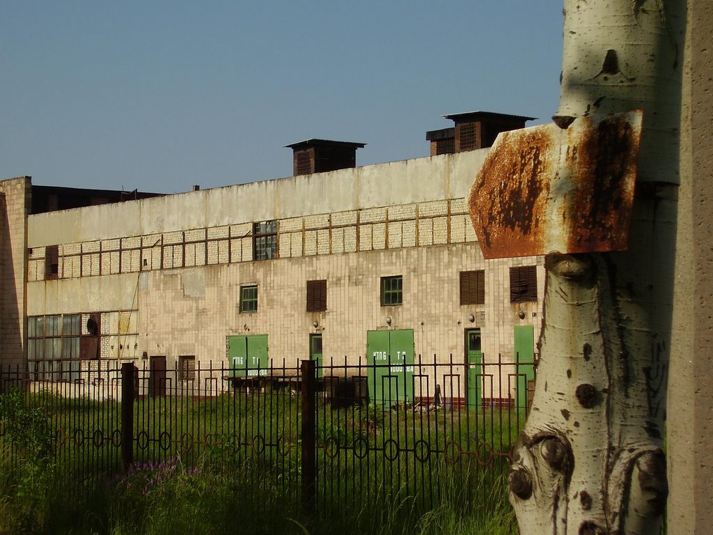old plant