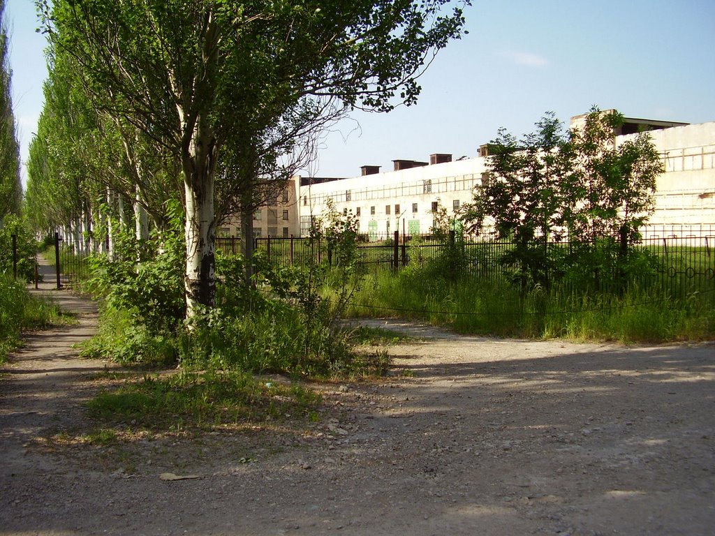 old plant