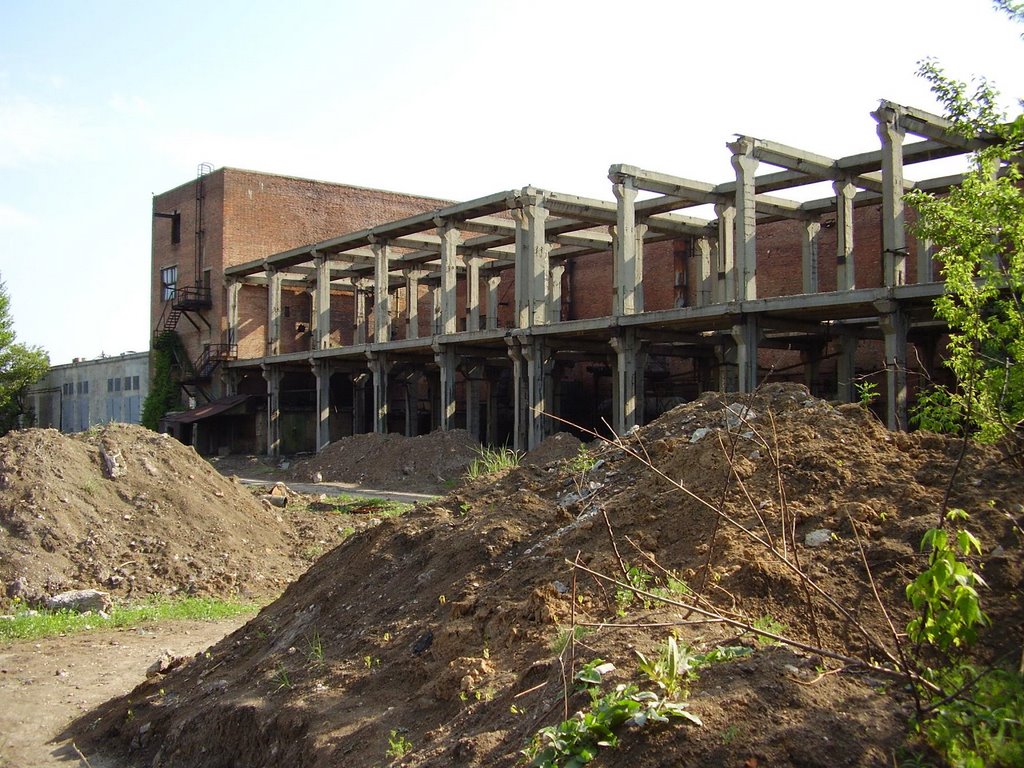 old plant
