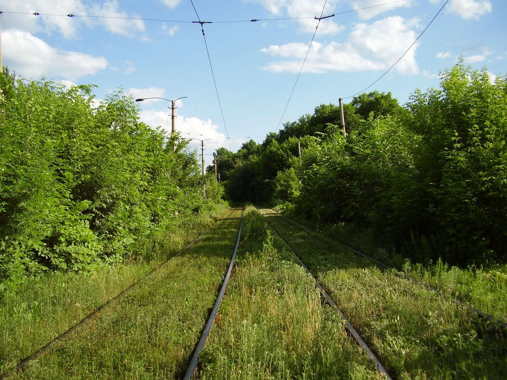 tram road