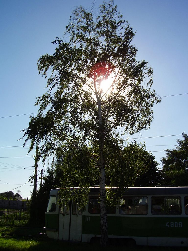 tram&sun