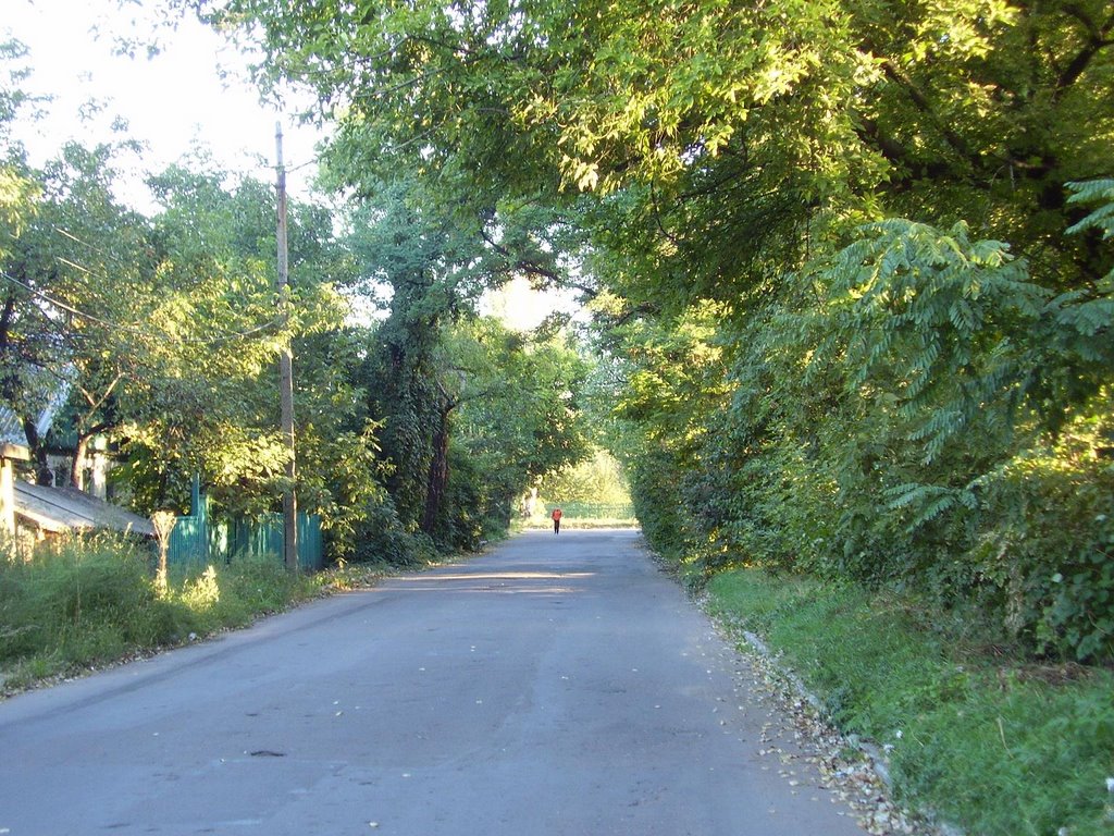 Rutchenkovo
