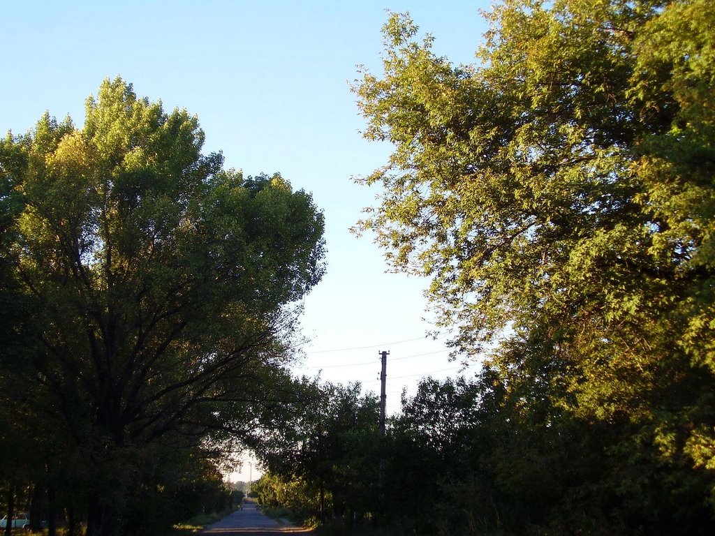 Rutchenkovo