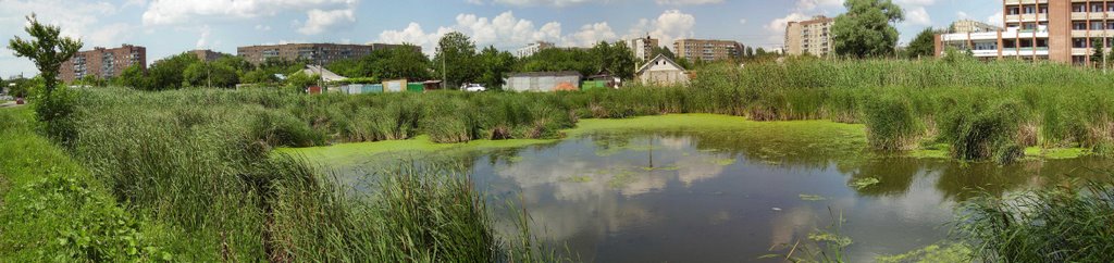 behind my house