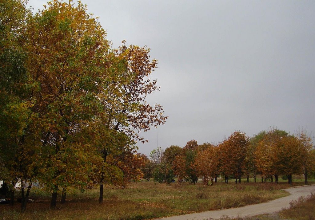 Autumn