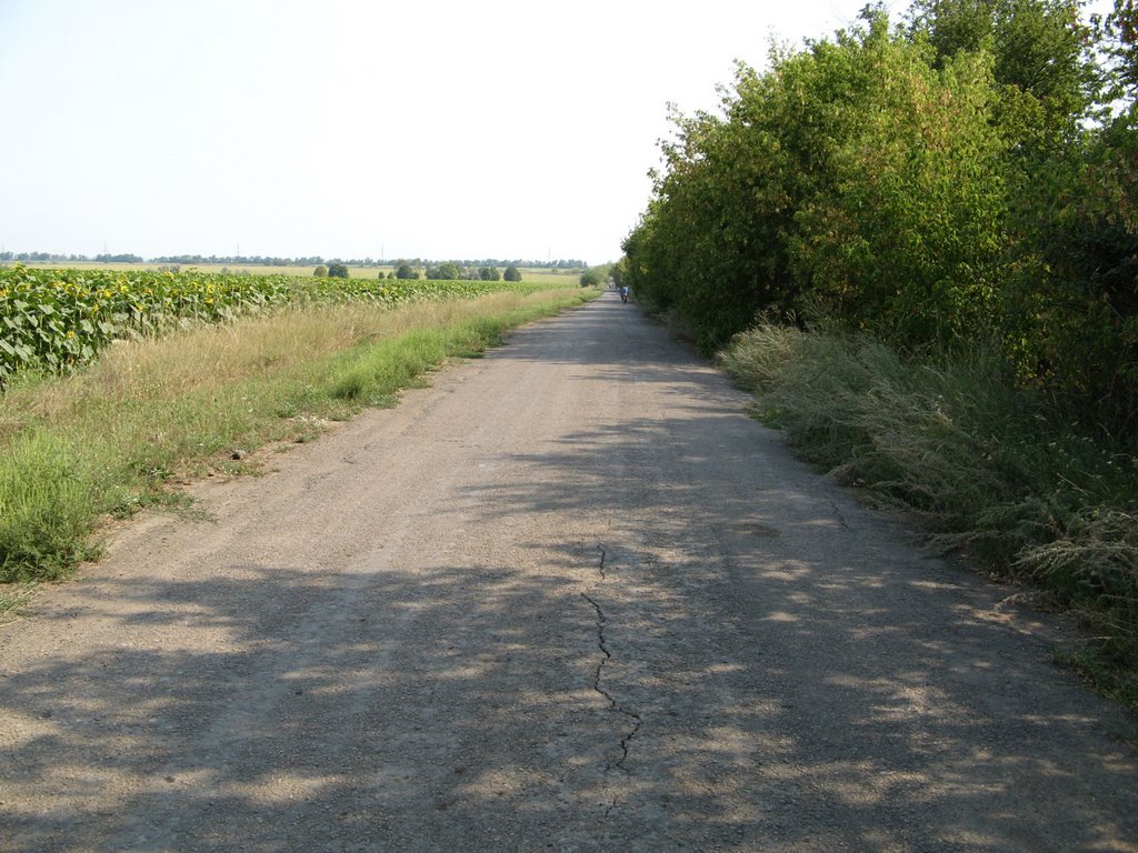 Дорога в Желанное