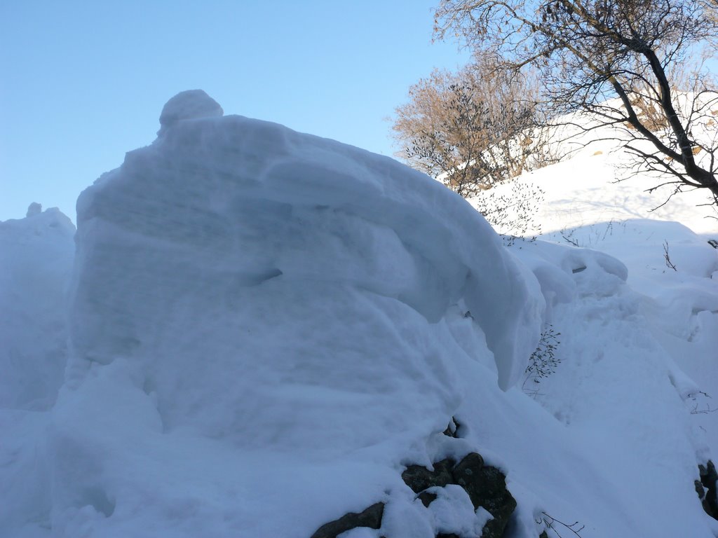 Настоящая Зима 2009г