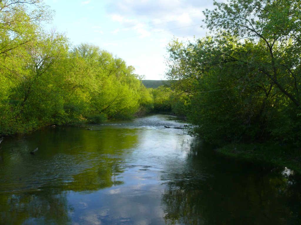 Nikolaevka