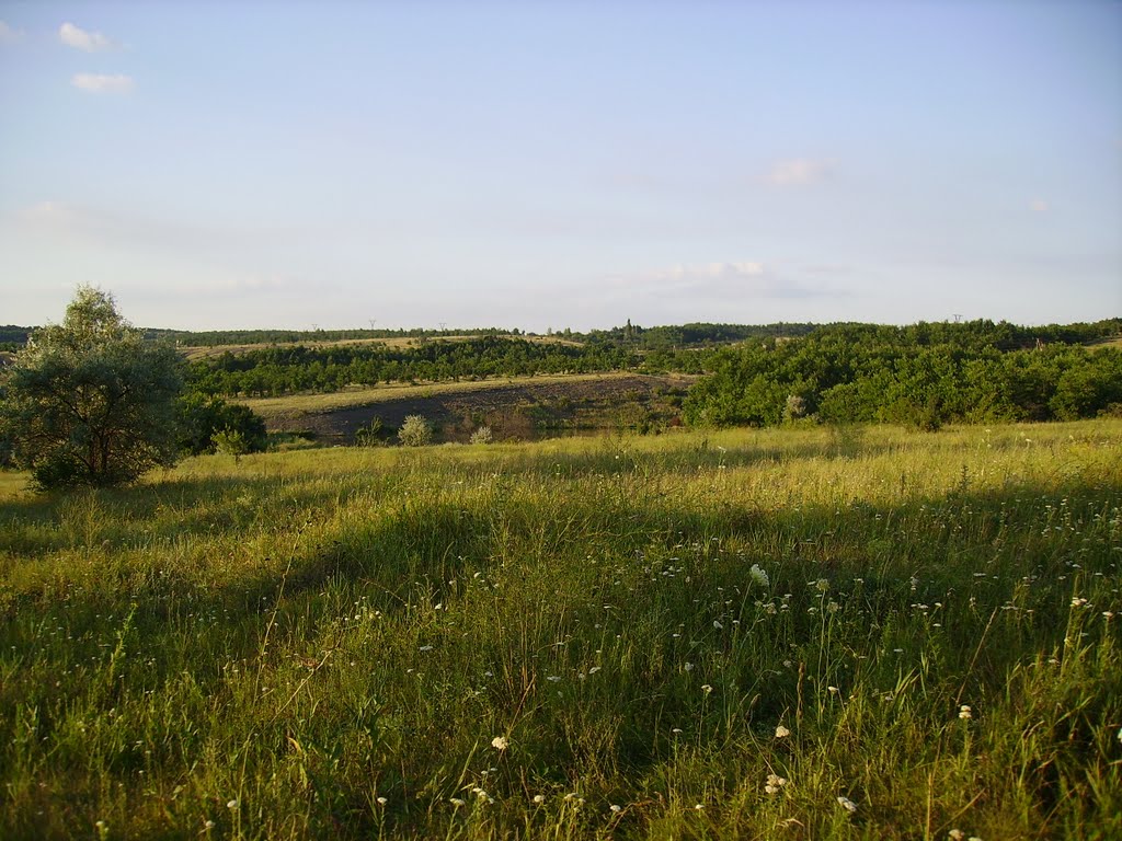 Лето, степь. Недалеко от пос. Зуевка. (Summer, steppe. Near a Zuevka settlement.)