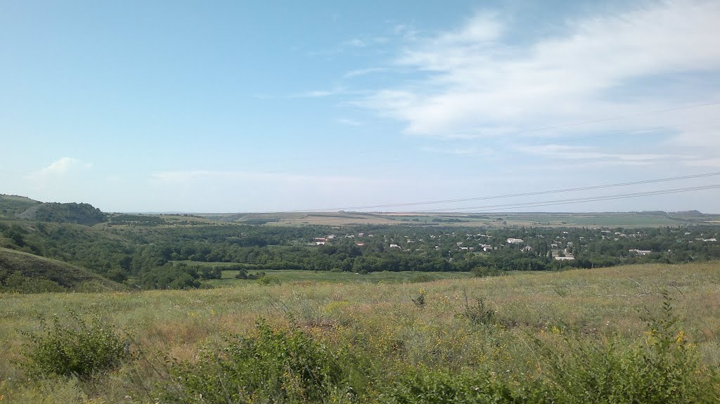 Зуевка 14.06.2013