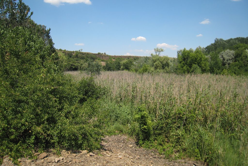 Скала.The cliff.