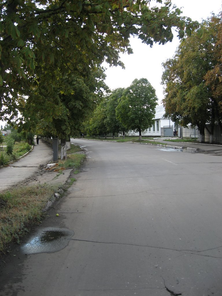 Shyroke