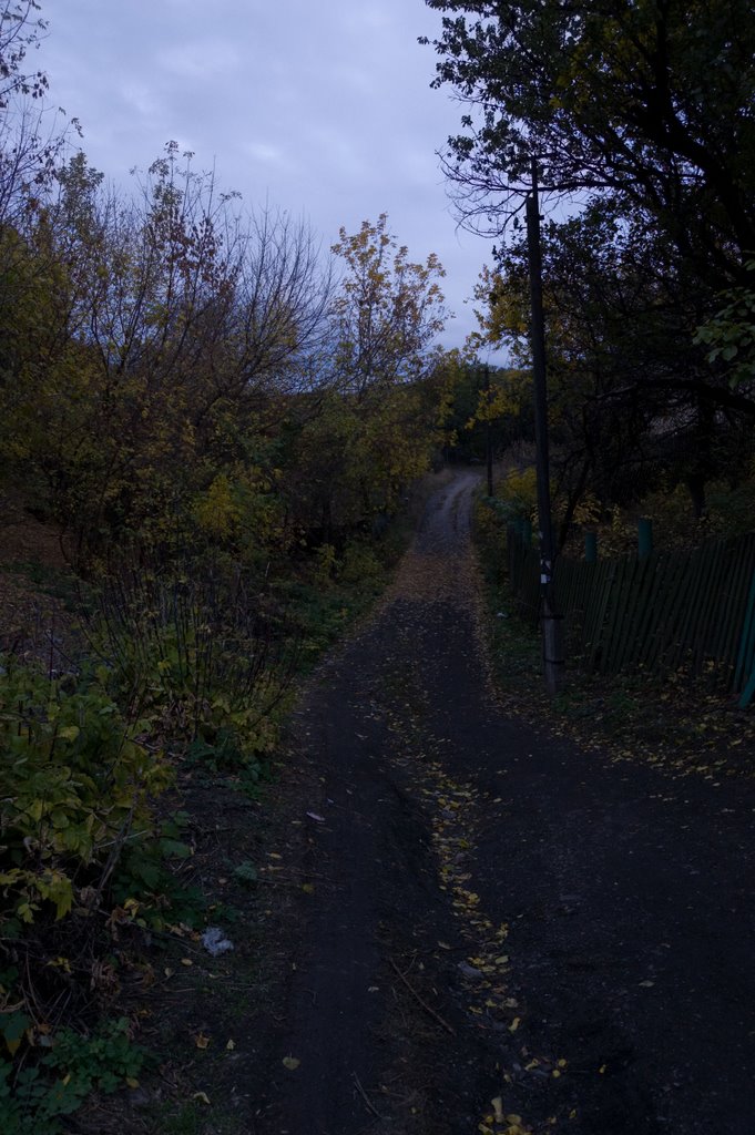ravine