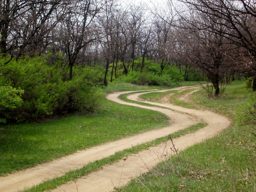 извилистая дорога
