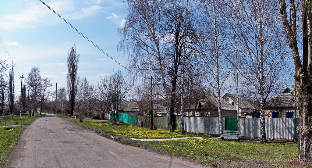 По Софье-Кондратьевке