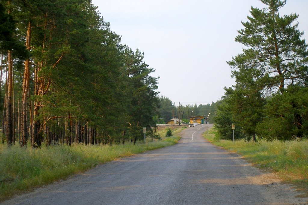 Медовый