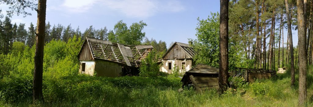Фроська.