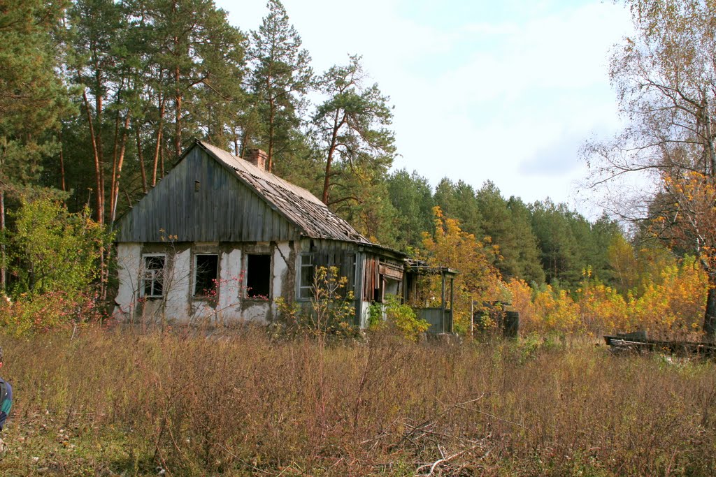 Дом Фроськи
