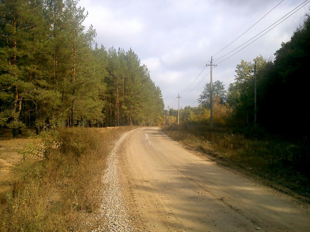 ЛЕП