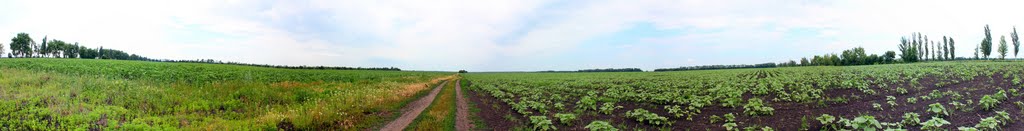 панорама поля