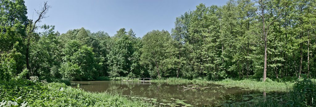 Yampol Forest Farm. Forest Trail.