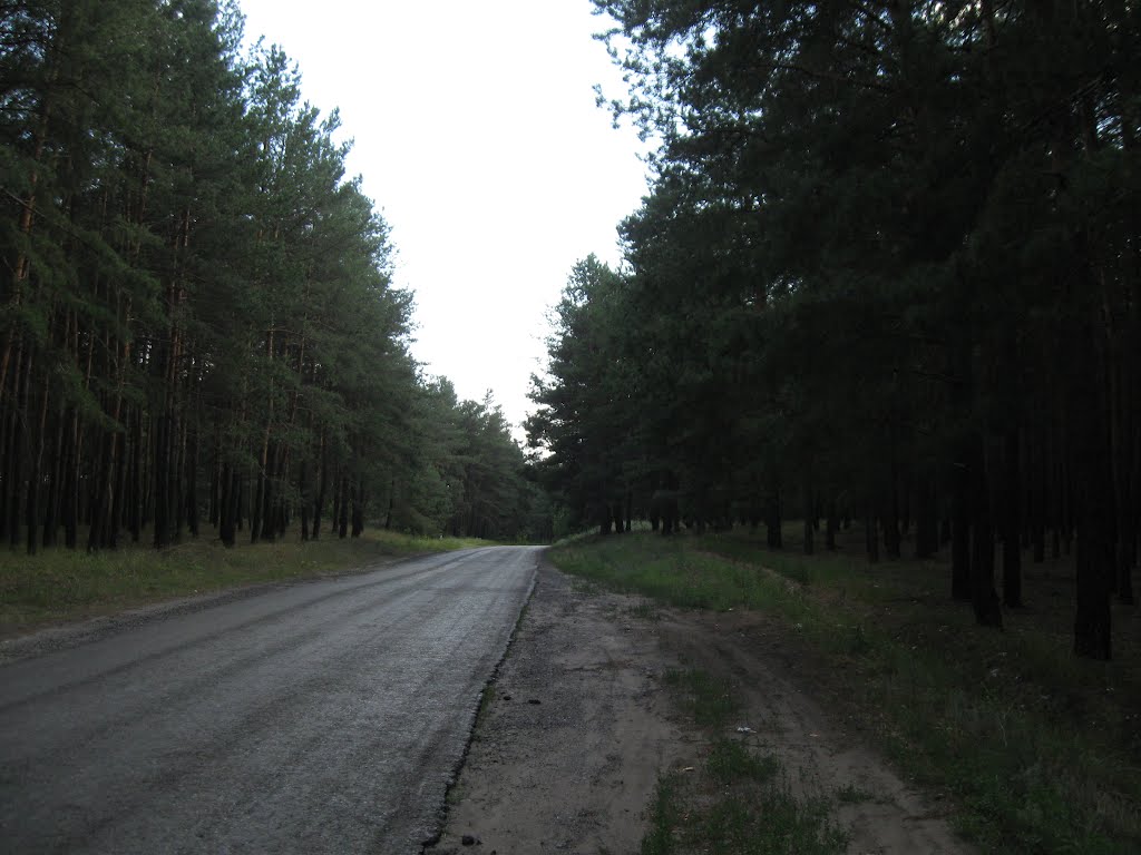 Дорога на Ямполь