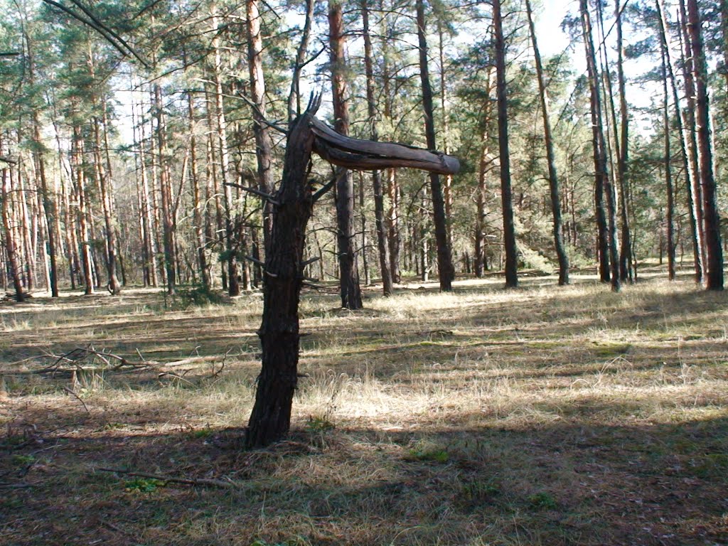 Какой персонаж ?