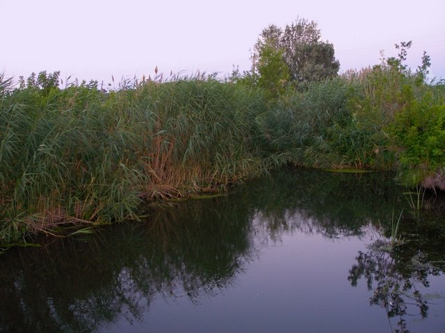 Заводь