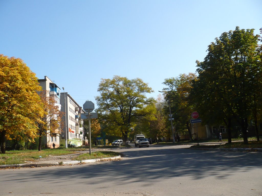 Улица ЛАЗО