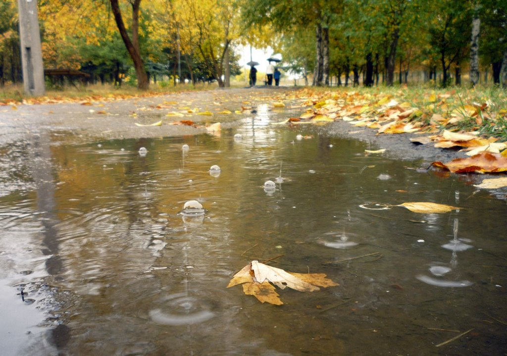 Druzhkivka
