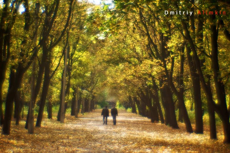 Autumn. The walk Pushkin. Kramatorsk. Осень. Аллея в парке Пушкина. Краматорск