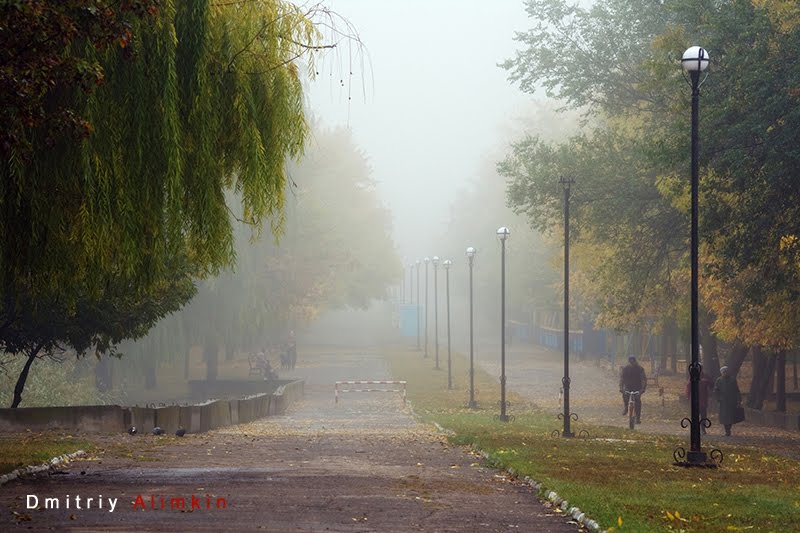 The Fog. Jubilee Park. Kramatorsk. Туман. Парк Юбилейный. Краматорск
