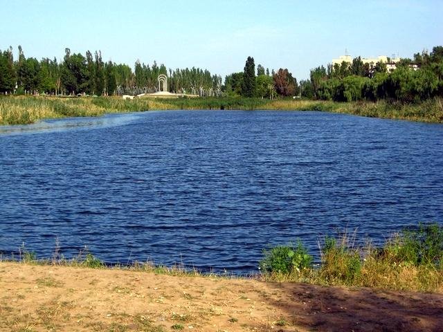 Ставок