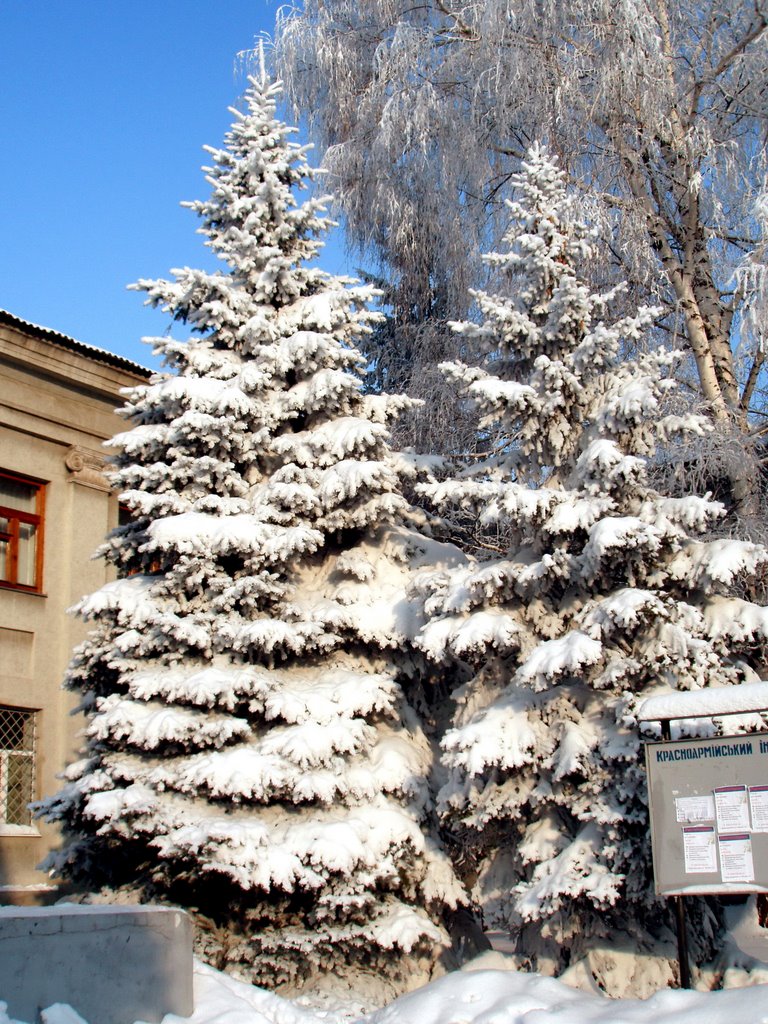 Институт зимой (01.2009)