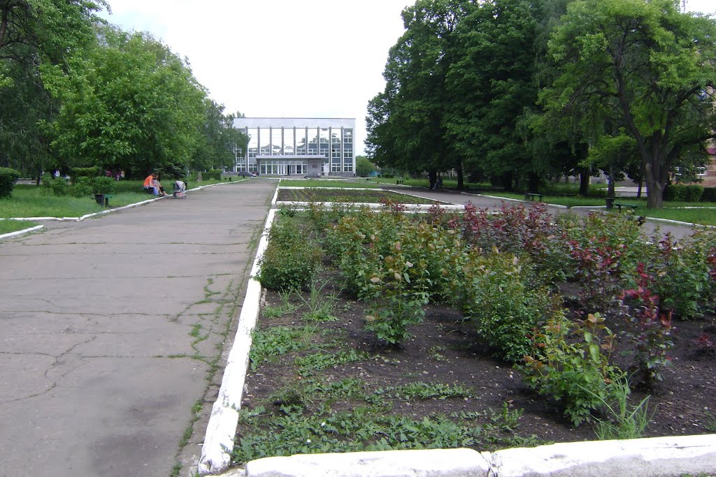 На площади Шибанкова