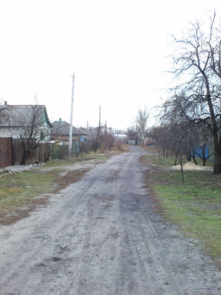 улица Озерная