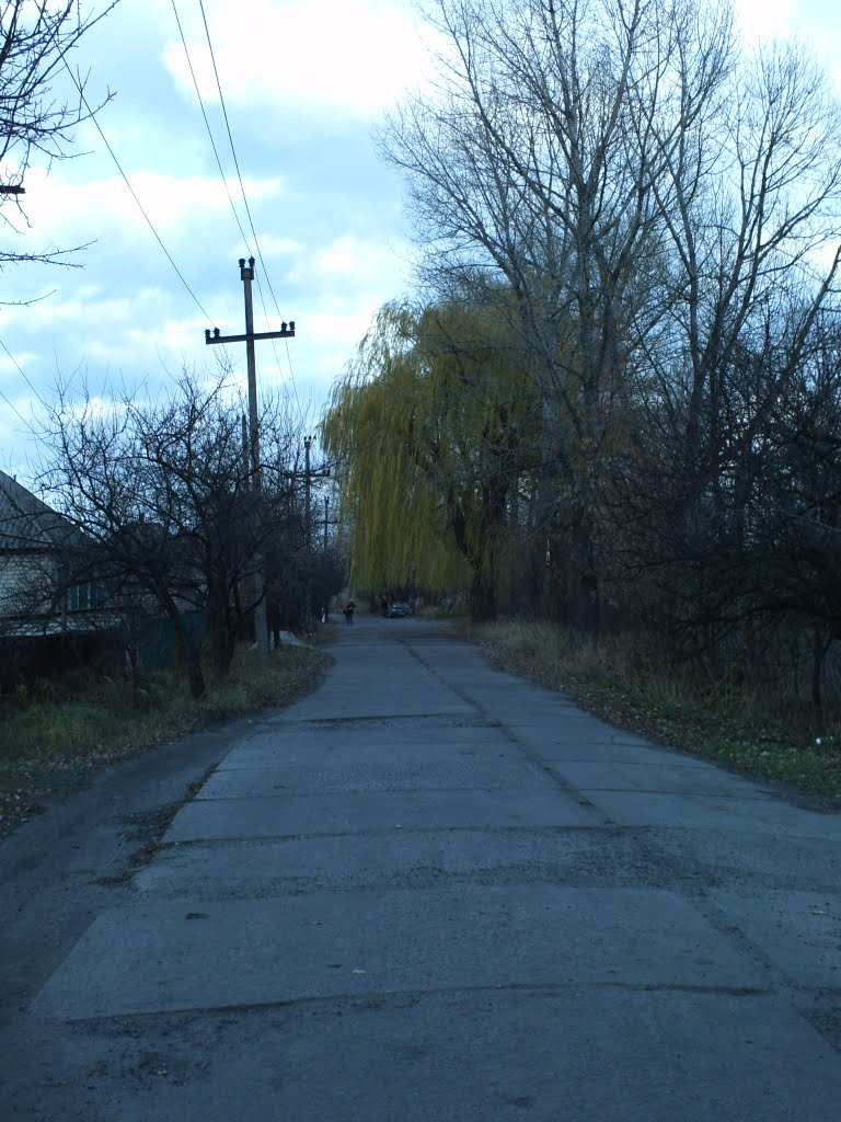 улица Торговая
