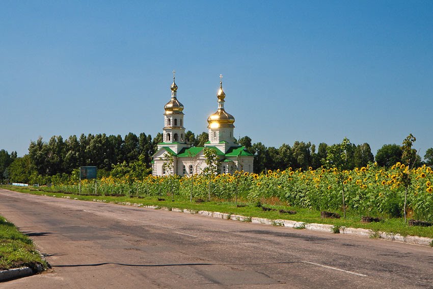 Church in sunflowers
