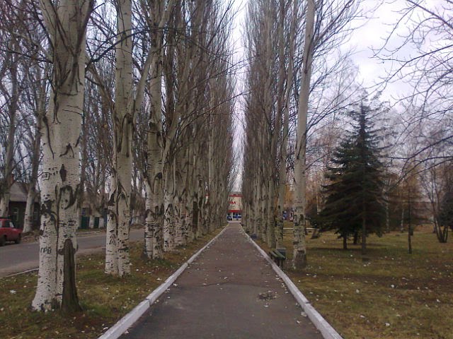 городской парк