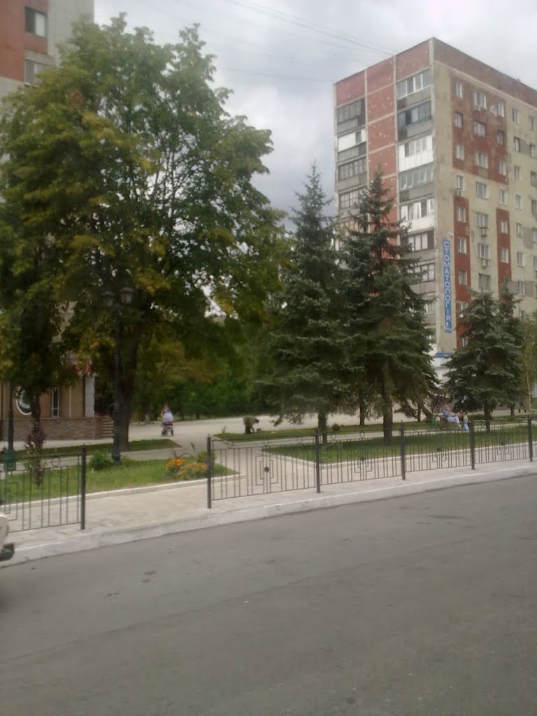 ул. Донецкая 05.08.2011