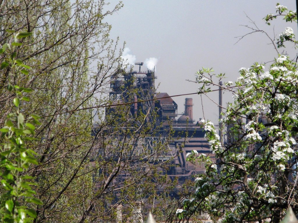 Spring time in Mariupol